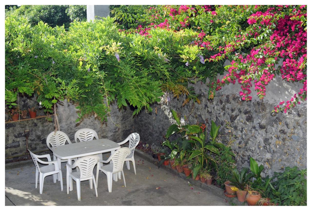 Casa Com Quinta Tradicional Villa Pico da Pedra Buitenkant foto